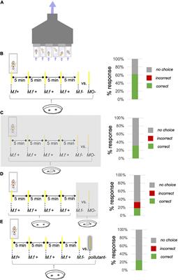 Odor-Pollution From Fungicides Disrupts Learning and Recognition of a Common Floral Scent in Bumblebees (Bombus impatiens)